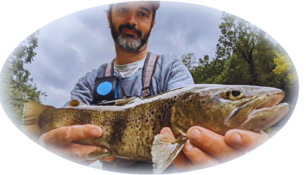 Photo d'une belle truite du Tarn pêchée par Julien Lagarrigue loalamouche Moniteur Guide de pêche en Aveyron